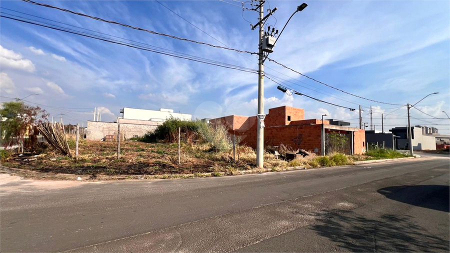 Foto REO1098626