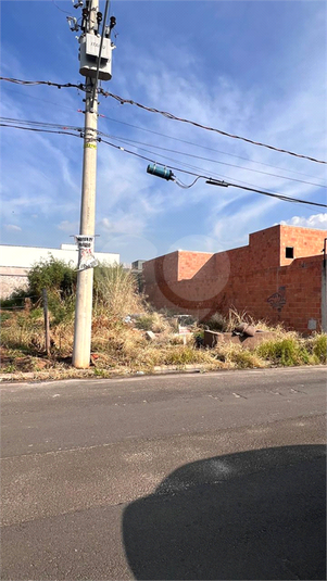 Foto REO1098626