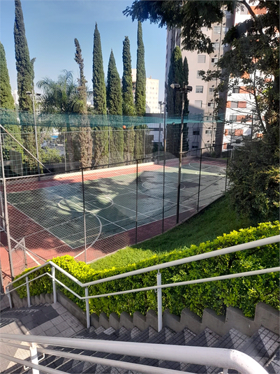 Foto REO1098643