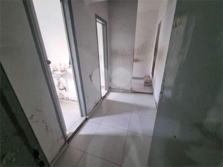 Foto REO1098647