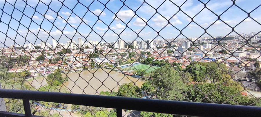 Foto REO1098652