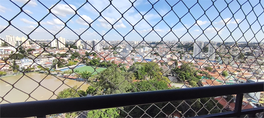Foto REO1098652