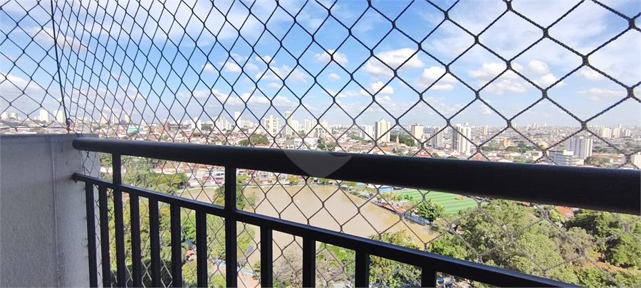 Foto REO1098652