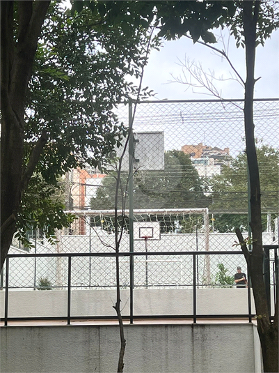 Foto REO1098663
