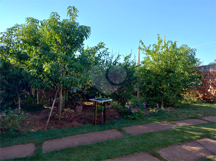 Foto REO1098682