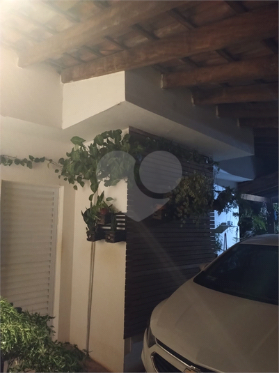 Foto REO1098682