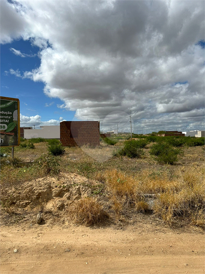 Foto REO1098687