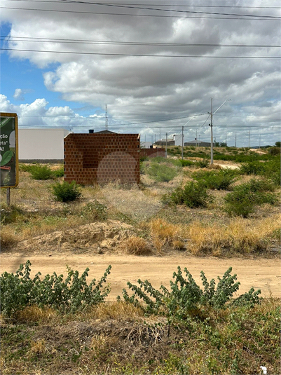 Foto REO1098687