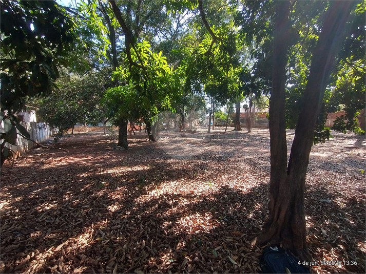 Foto REO1098692