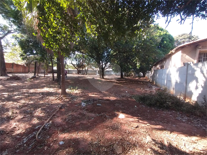 Foto REO1098692