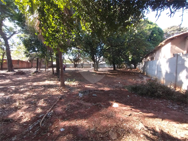 Foto REO1098692