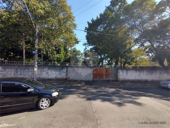 Foto REO1098692