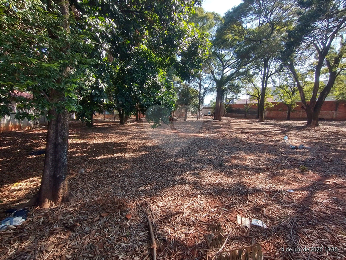 Foto REO1098692