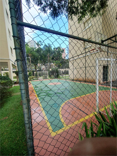 Foto REO1098697