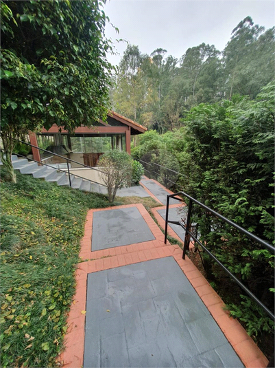 Foto REO1098697