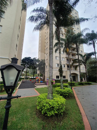 Foto REO1098697