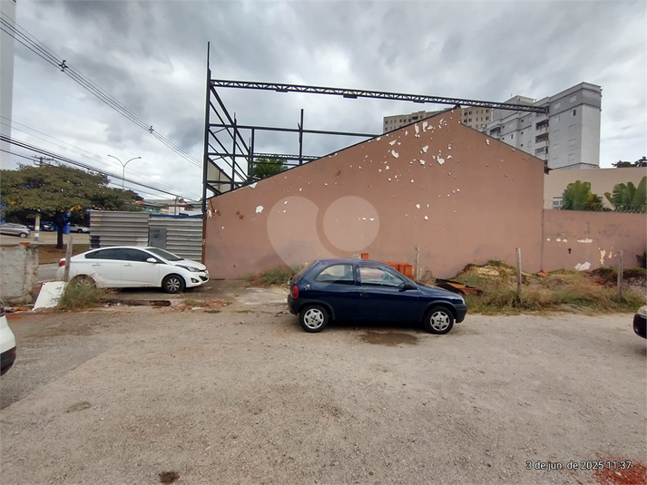 Foto REO1098716