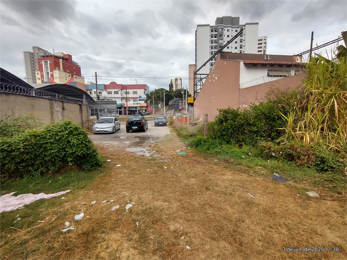 Foto REO1098716
