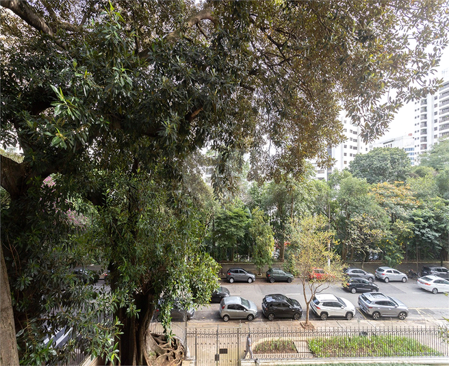 Foto REO1098726
