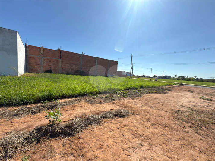 Foto REO1098735