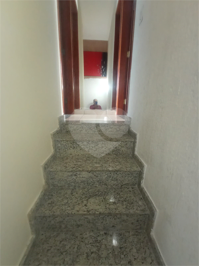Foto REO1098740