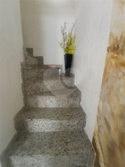 Foto REO1098740