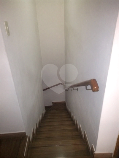 Foto REO1098741