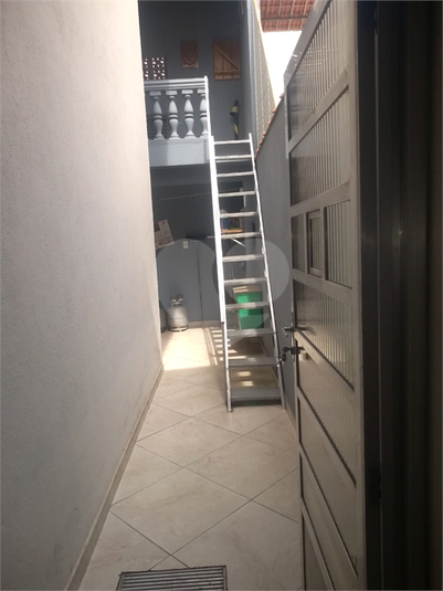 Foto REO1098741