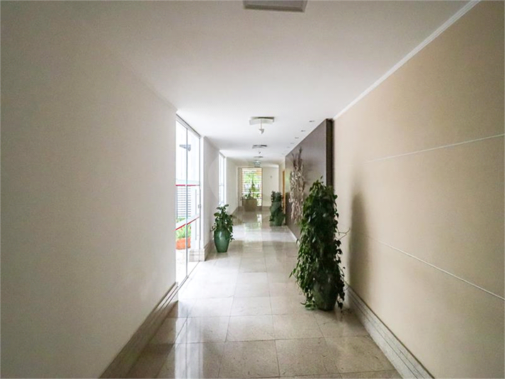Foto REO1098744