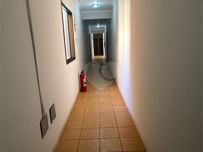 Foto REO1098765