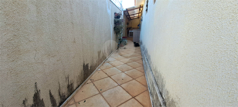 Foto REO1098775