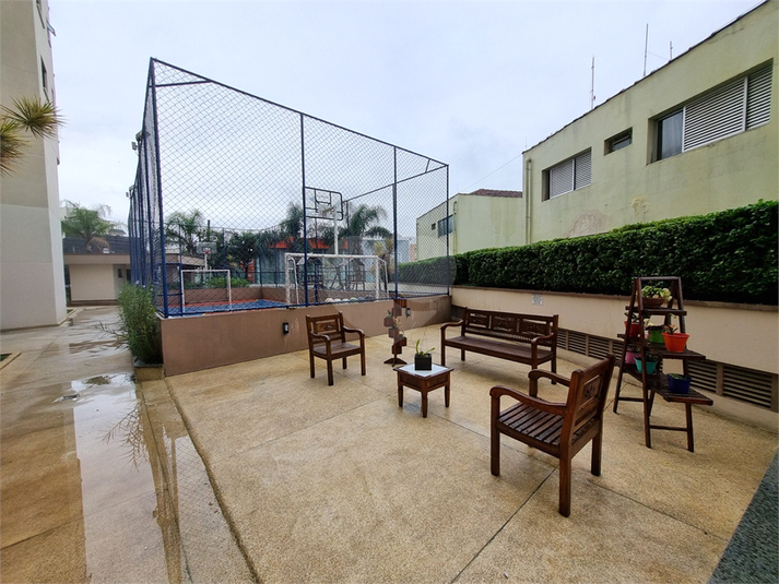 Foto REO1098785