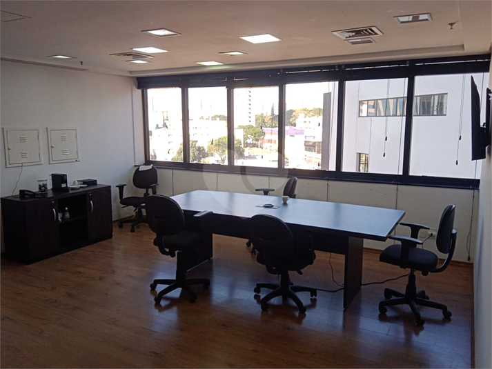 Foto REO1098828