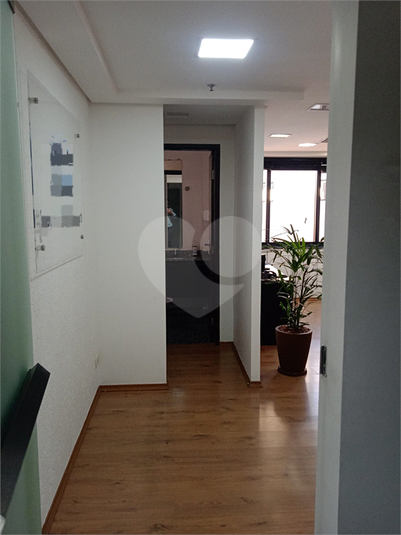 Foto REO1098828