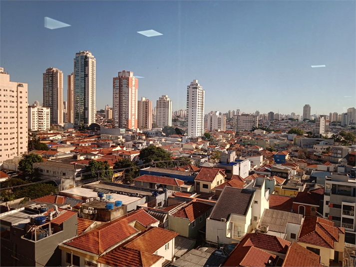 Foto REO1098828