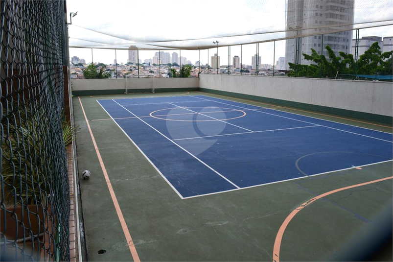 Foto REO1098842