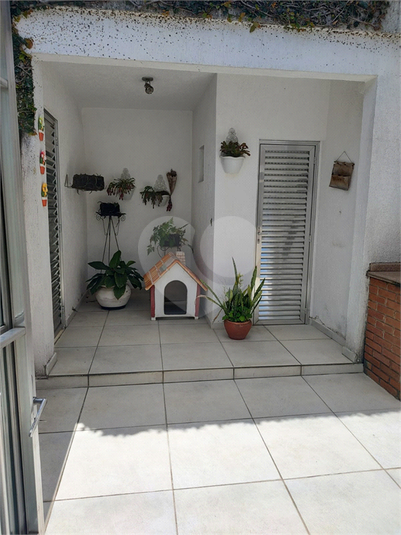 Foto REO1098852