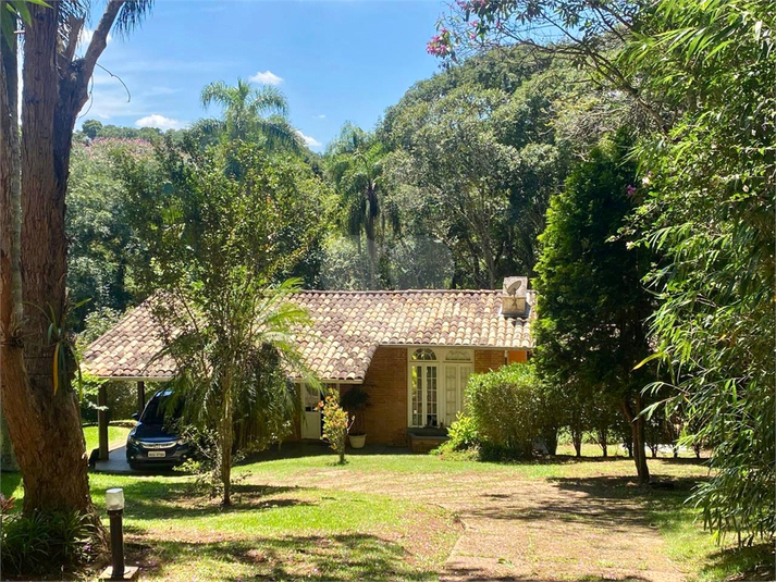 Foto REO1098860