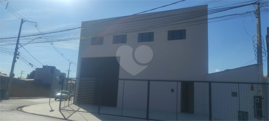 Foto REO1098869