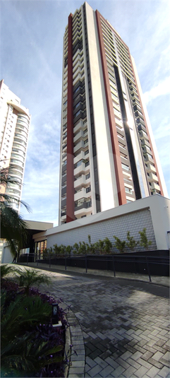 Foto REO1098876