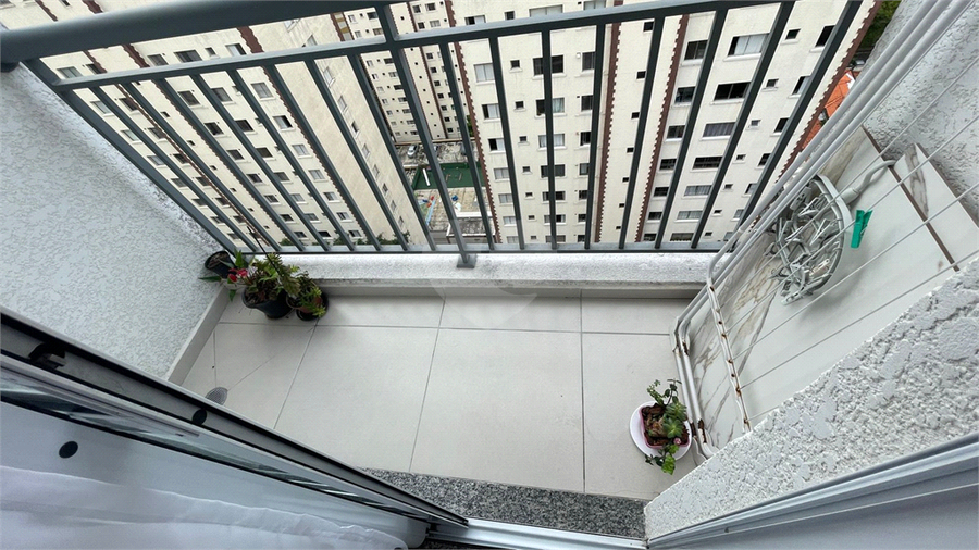 Foto REO1098885