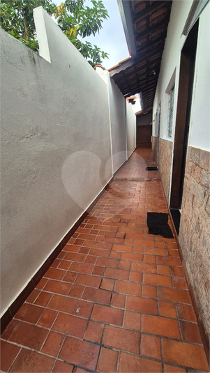 Foto REO1098893
