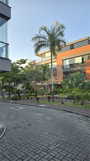 Foto REO1098898
