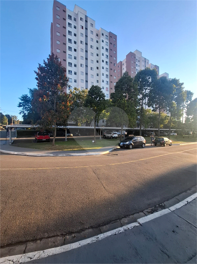Foto REO1098899
