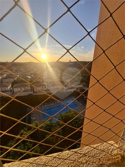 Foto REO1098899