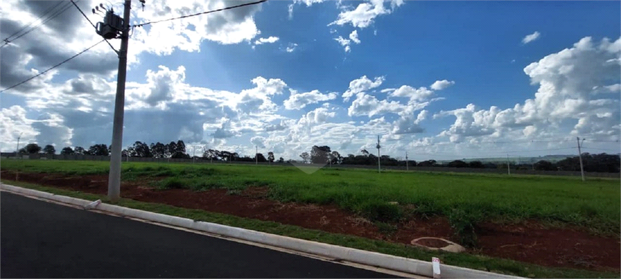 Foto REO1098901