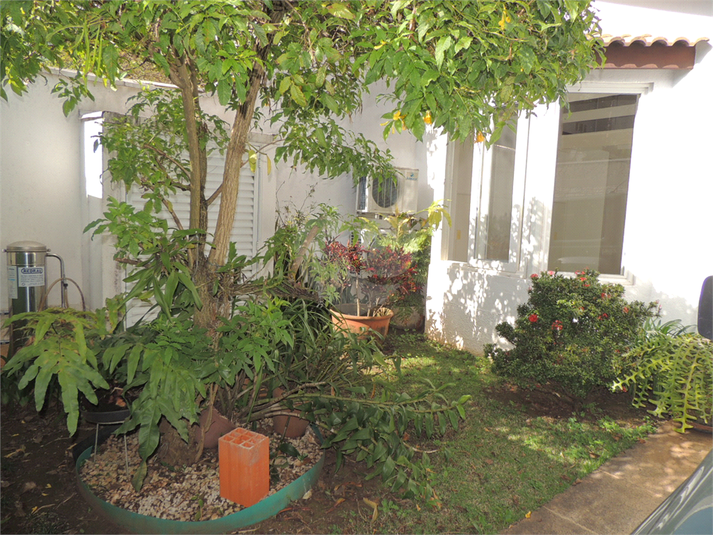 Foto REO1098906