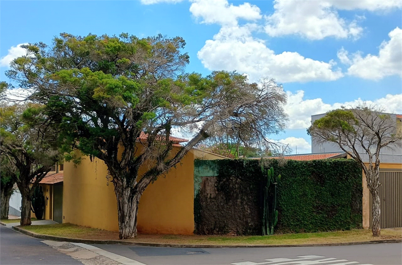 Foto REO1098909