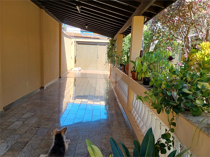 Foto REO1098909