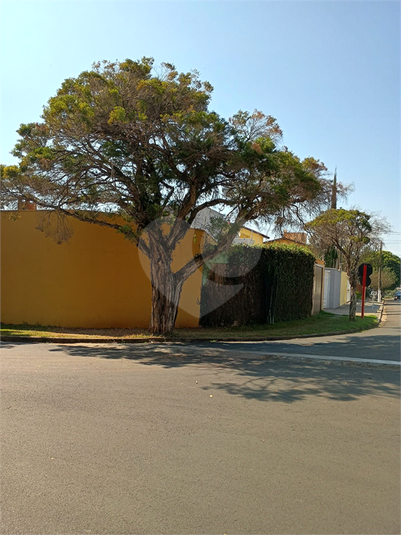 Foto REO1098909